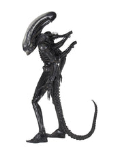Load image into Gallery viewer, Alien – 1/4 Scale Action Figure – 40th Anniversary Big Chap