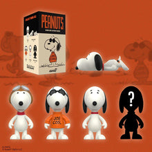 Load image into Gallery viewer, PEANUTS BLIND BOX WAVE 06 (SO MANY SNOOPIES!)