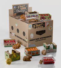 Load image into Gallery viewer, Fruit Box Stowaways Craft Kit Blind Box