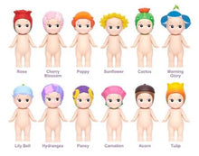 Load image into Gallery viewer, Sonny Angel Blind Box - Flower Series