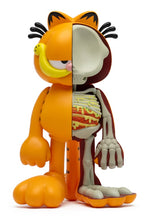 Load image into Gallery viewer, XXRay Plus Garfield 8 inch Vinyl Figure