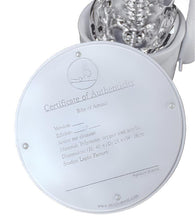 Load image into Gallery viewer, Mr. Clement Ribs of Armour Sculpture (Silver)