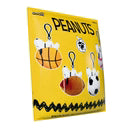 Load image into Gallery viewer, Peanuts Super Duper Plush Keychain Blind Bags Wave 1  Individual Blind Bag