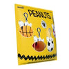 Peanuts Super Duper Plush Keychain Blind Bags Wave 1  Individual Blind Bag