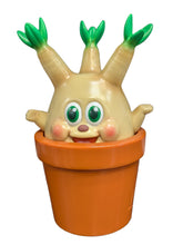 Load image into Gallery viewer, Pachie (OG)