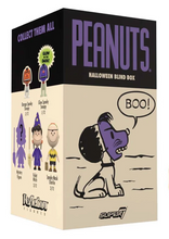 Load image into Gallery viewer, Super7 Peanuts Blind Box - Wave 07