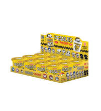 Load image into Gallery viewer, Rokimoto x PEANUTS Series 2 Blind Box