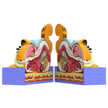 Load image into Gallery viewer, XXPOSED Garfield Jason Freeny middle