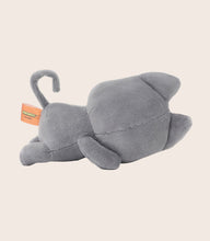 Load image into Gallery viewer, Hakongee 6" Plush - Lying with Tears
