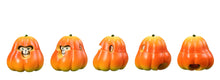 Load image into Gallery viewer, Johnny Sheep - Pumpkin