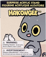 Load image into Gallery viewer, Hakongee Acrylic Stand Surprise Blind Box - SERIES 1