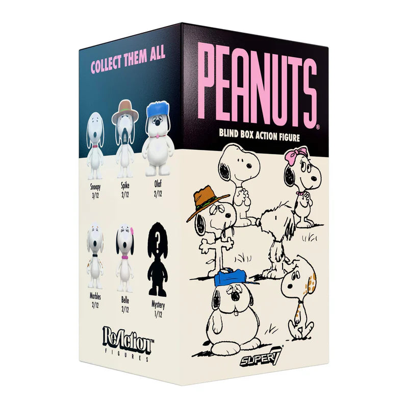 Peanuts Blind Box Wave 10 (Snoopy's Siblings) Individual Blind Box