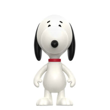 Load image into Gallery viewer, Peanuts Blind Box Wave 10 (Snoopy's Siblings) Individual Blind Box