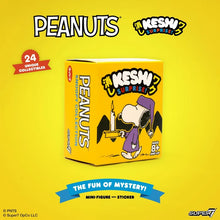 Load image into Gallery viewer, Peanuts Keshi Wave 03 (Snoopies) Blind Box