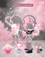 Load image into Gallery viewer, Miniz Sugar & Spice Surprise Plush Box