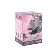 Load image into Gallery viewer, Miniz Sugar & Spice Surprise Plush Box