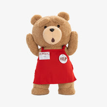 Load image into Gallery viewer, TED2 TED ACTION PLUSH DOLL  PopMart
