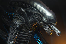 Load image into Gallery viewer, Alien – 1/4 Scale Action Figure – 40th Anniversary Big Chap
