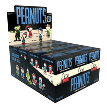Load image into Gallery viewer, PEANUTS BLIND BOX WAVE 04 - BLIND BOX
