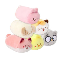 Load image into Gallery viewer, Anirollz Surprise Plush Blind Box
