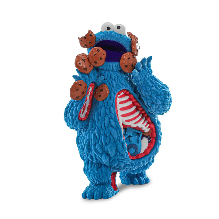 Sesame Street - Kaiju Anatomy Cookie Monster 8