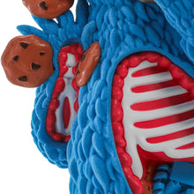 Load image into Gallery viewer, Sesame Street - Kaiju Anatomy Cookie Monster 8&quot; Flocked Vinyl Art Figure
