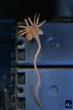 Load image into Gallery viewer, Aliens - 40th Anniversary Ultimate Xenomorph Warrior 7" Scale Action Figure
