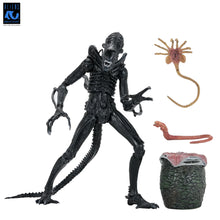 Load image into Gallery viewer, Aliens - 40th Anniversary Ultimate Xenomorph Warrior 7" Scale Action Figure
