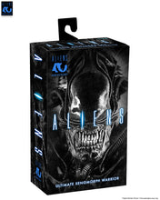 Load image into Gallery viewer, Aliens - 40th Anniversary Ultimate Xenomorph Warrior 7" Scale Action Figure
