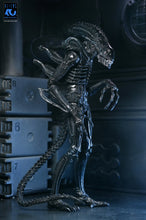 Load image into Gallery viewer, Aliens - 40th Anniversary Ultimate Xenomorph Warrior 7" Scale Action Figure
