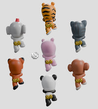 Load image into Gallery viewer, Tiny Shiny Hineys Peekers Blind Box
