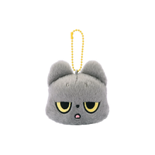 Load image into Gallery viewer, Hakongee Surprise Plush Box - Mood Swing
