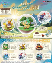 Load image into Gallery viewer, Re-Ment Pokemon Terrarium Collection 14 Blind Box
