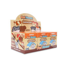 Load image into Gallery viewer, Pet House Surprise Plush Box
