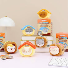 Load image into Gallery viewer, Pet House Surprise Plush Box
