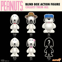 Load image into Gallery viewer, Peanuts Blind Box Wave 10 (Snoopy's Siblings)  Individual Blind Box
