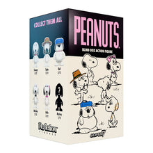 Load image into Gallery viewer, Peanuts Blind Box Wave 10 (Snoopy's Siblings)  Individual Blind Box
